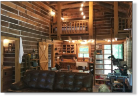 Timber View